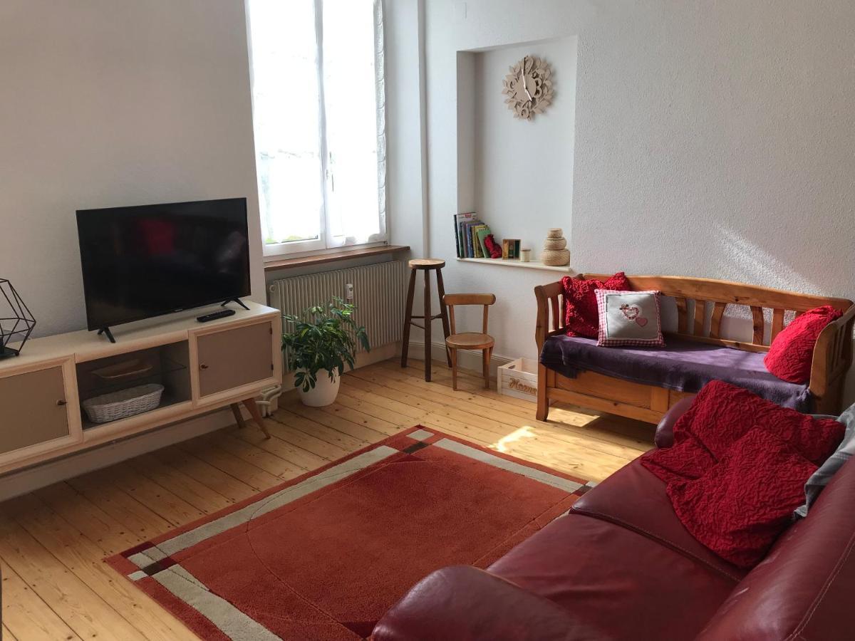 Le Clos Des Iris - Gite Rural 95 M2 Tout Confort En Alsace Bossue Domfessel Εξωτερικό φωτογραφία